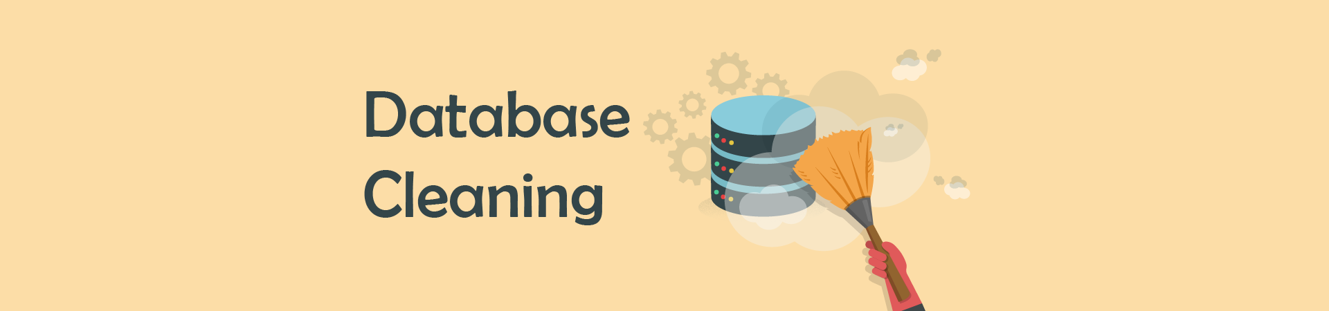 Database Cleaning Services