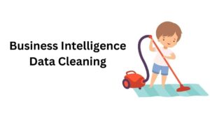 Business Intelligence Data Cleaning