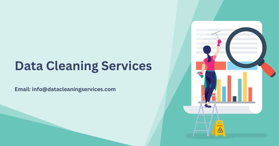 Data Cleaning Services