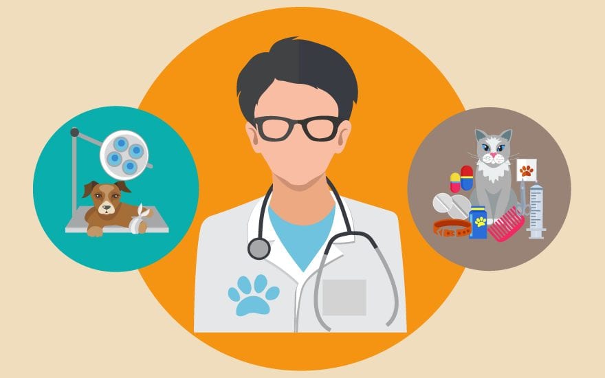 Veterinary Firm Data Cleansing